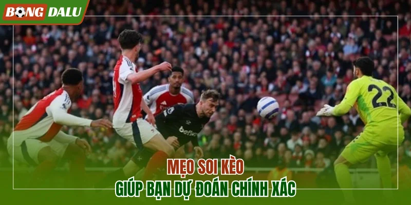 3 mẹo giúp bạn dự đoán chính xác hơn