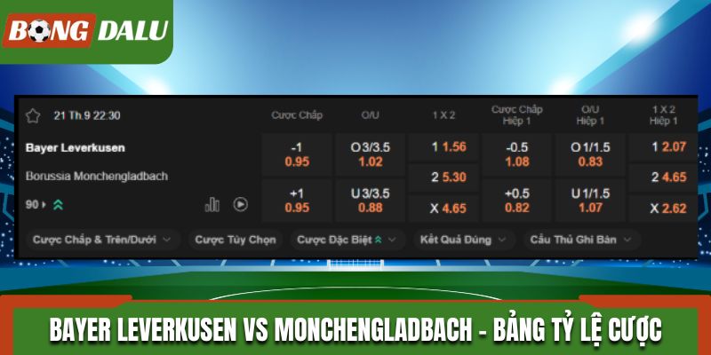 Soi kèo Bayer Leverkusen vs Monchengladbach từ bảng tỷ lệ trước trận