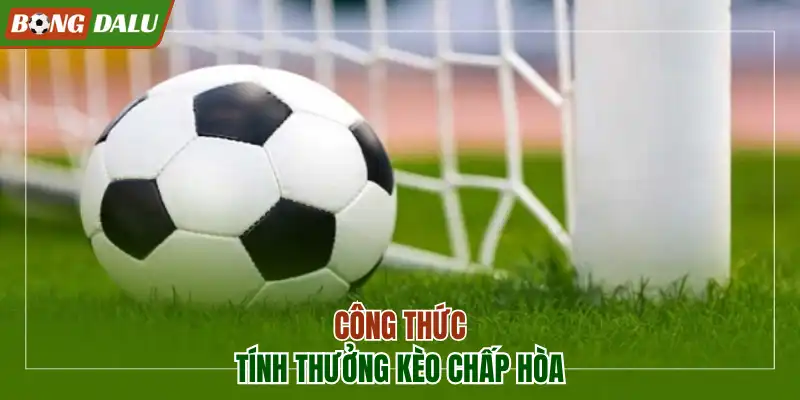 Công thức tính thưởng kèo chấp hòa