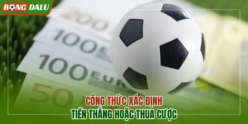 Công thức xác định tiền thắng hoặc thua cược