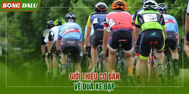 Giới thiệu tổng quan về đua xe đạp