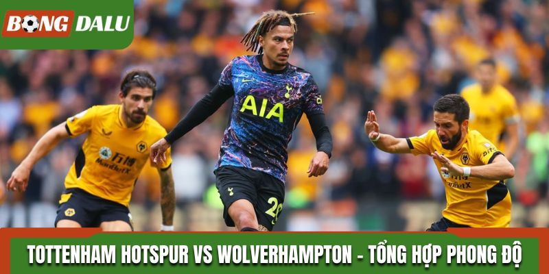 Tottenham Hotspur vs Wolverhampton - thống kê phong độ