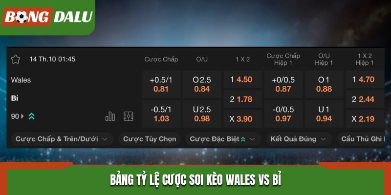 Soi kèo Wales vs Bỉ ở bảng tỷ lệ cược trong trận đấu