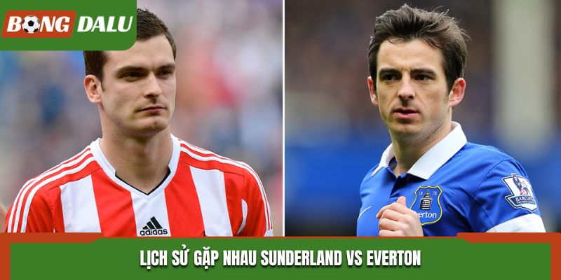 Soi kèo Sunderland vs Everton - thống kê thành tích đối đầu trước kia